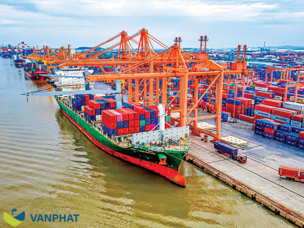 Vietnam seafood sourcing model for SME importers