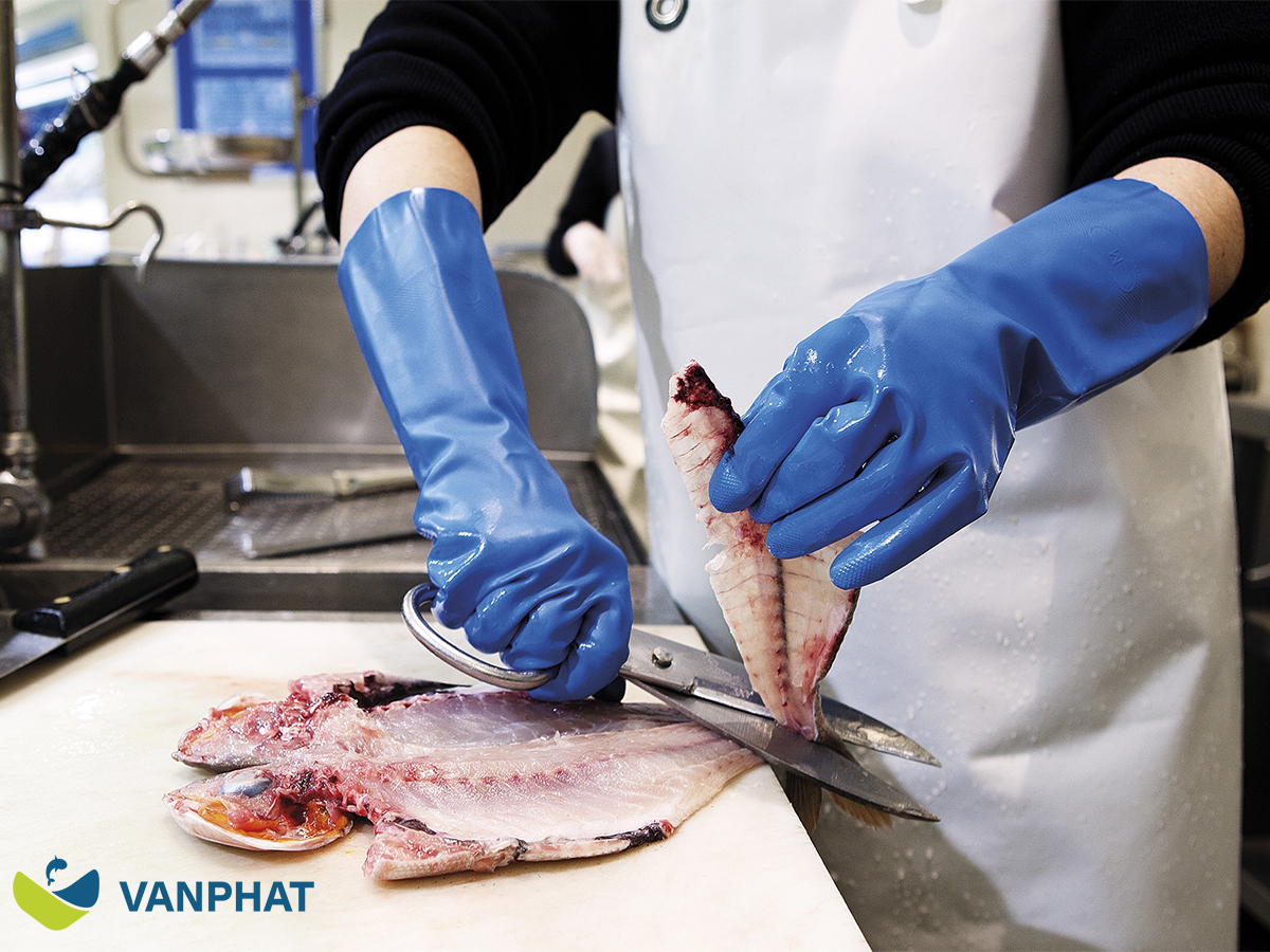 pangasius and shrimp trial shipment