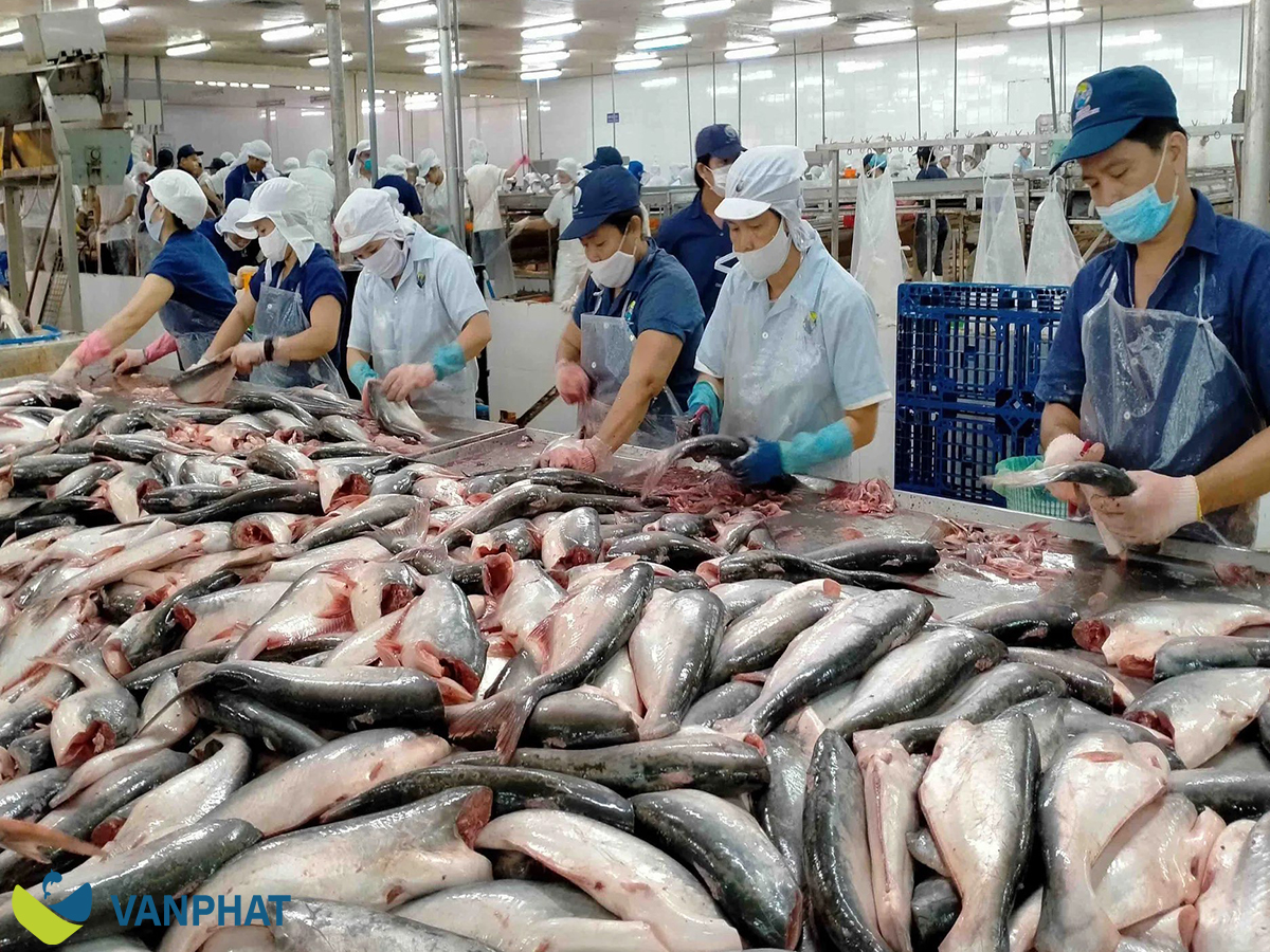 Seafood Sourcing From Vietnam For Global Importers