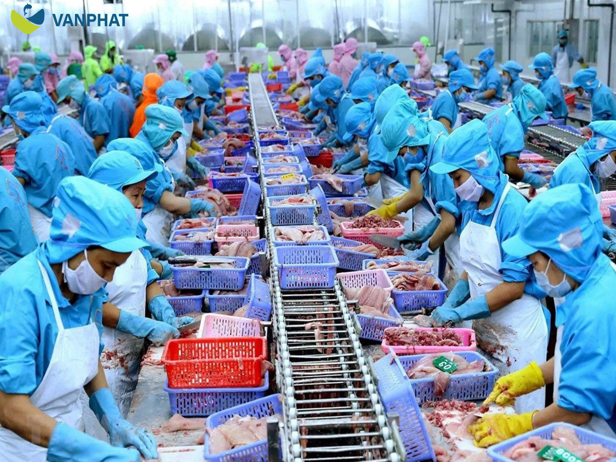 Seafood Sourcing From Vietnam For Global Importers